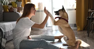 Responsibility Of Pet Ownership